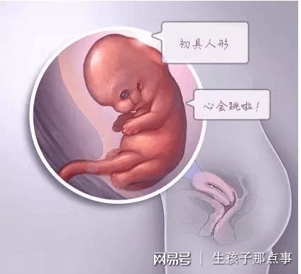 男科专家